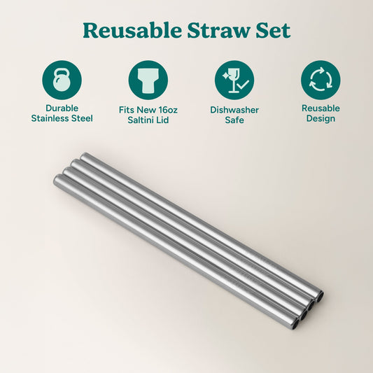 saltini-straw-set-k1 4PK_SaltiniStraws_SS-2.jpg