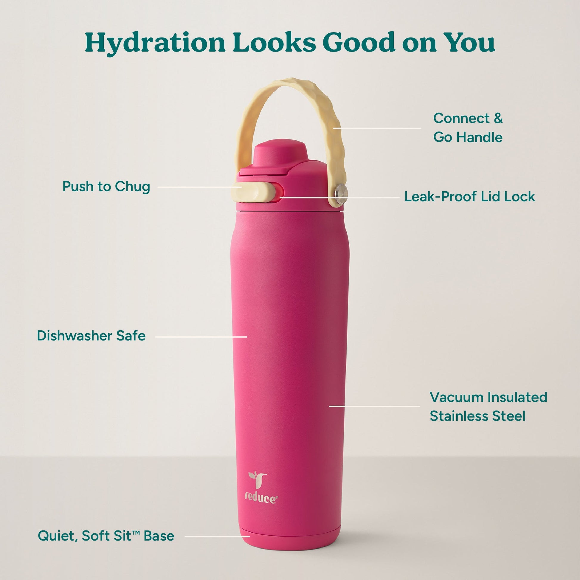 aura-26-oz-b9 Aura_26oz_DragonFruit_PDP_Infographic_2-03.jpg