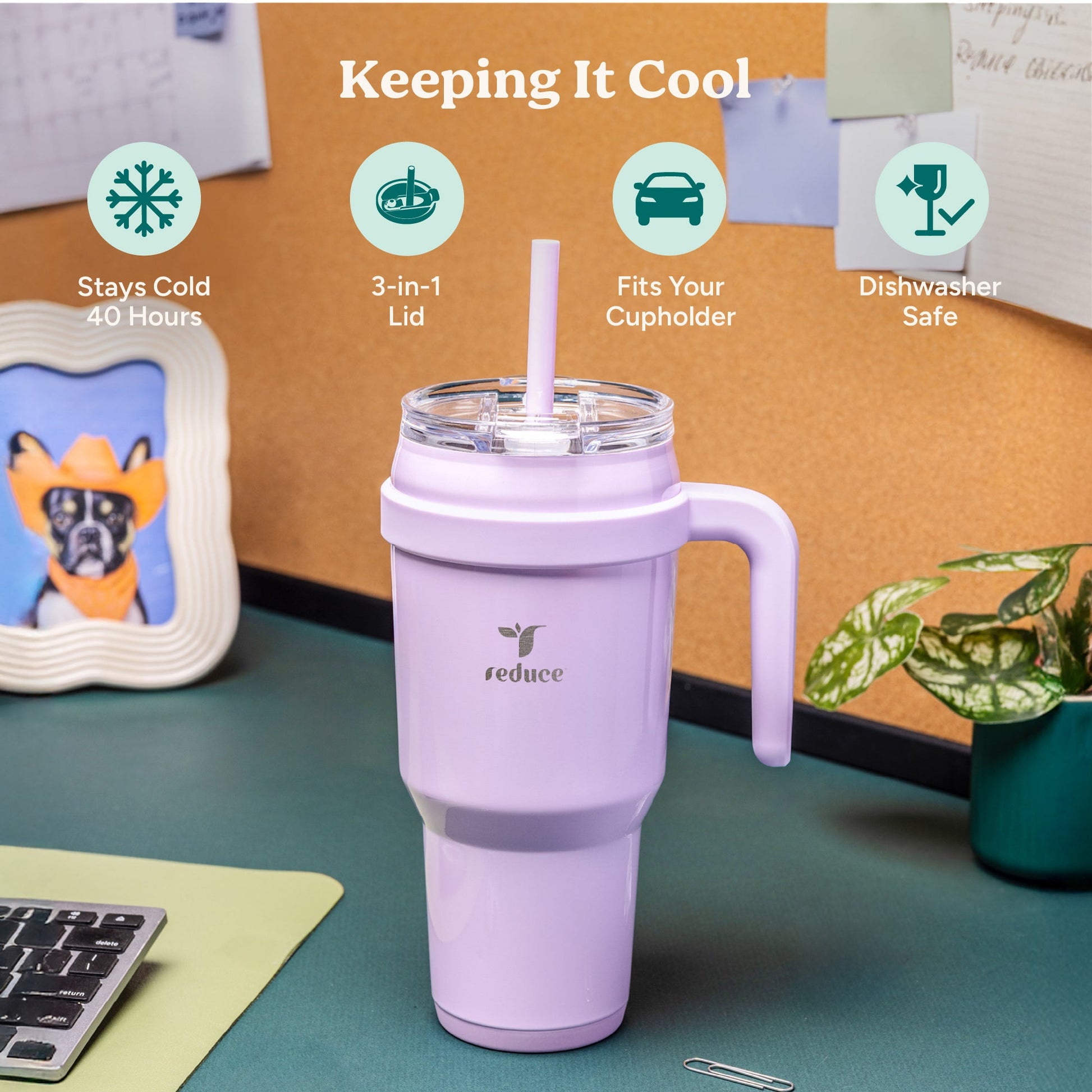 cold1-40-oz-r2 Cold1_40oz_PalmLeaf_Infographic_1.jpg