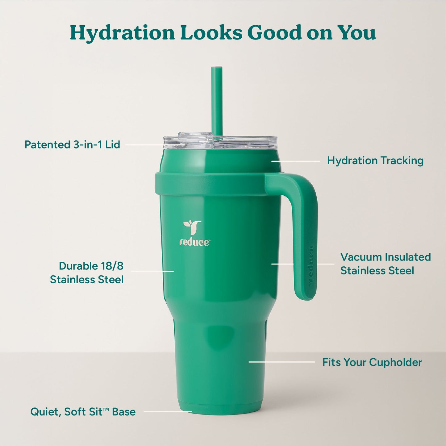 cold1-40-oz-r2 Cold1_40oz_PalmLeaf_Infographic_2.jpg