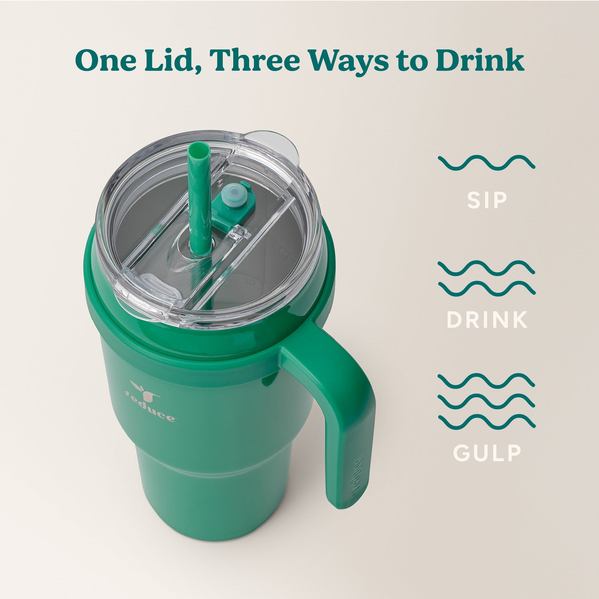 cold1-40-oz-r2 Cold1_40oz_PalmLeaf_Infographic_3.jpg