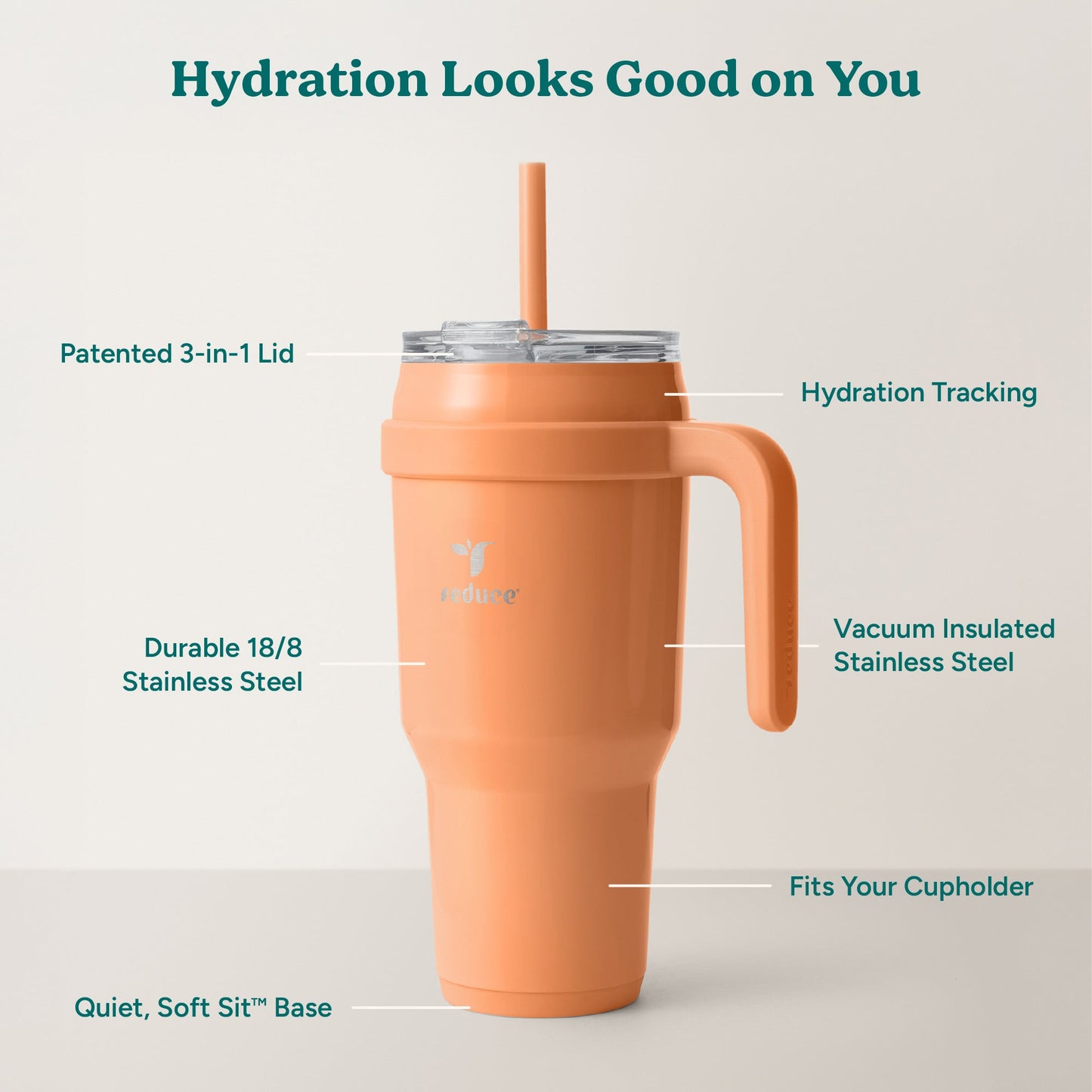 cold1-40-oz-r2 Cold1_40oz_Papaya_Infographic_2.jpg
