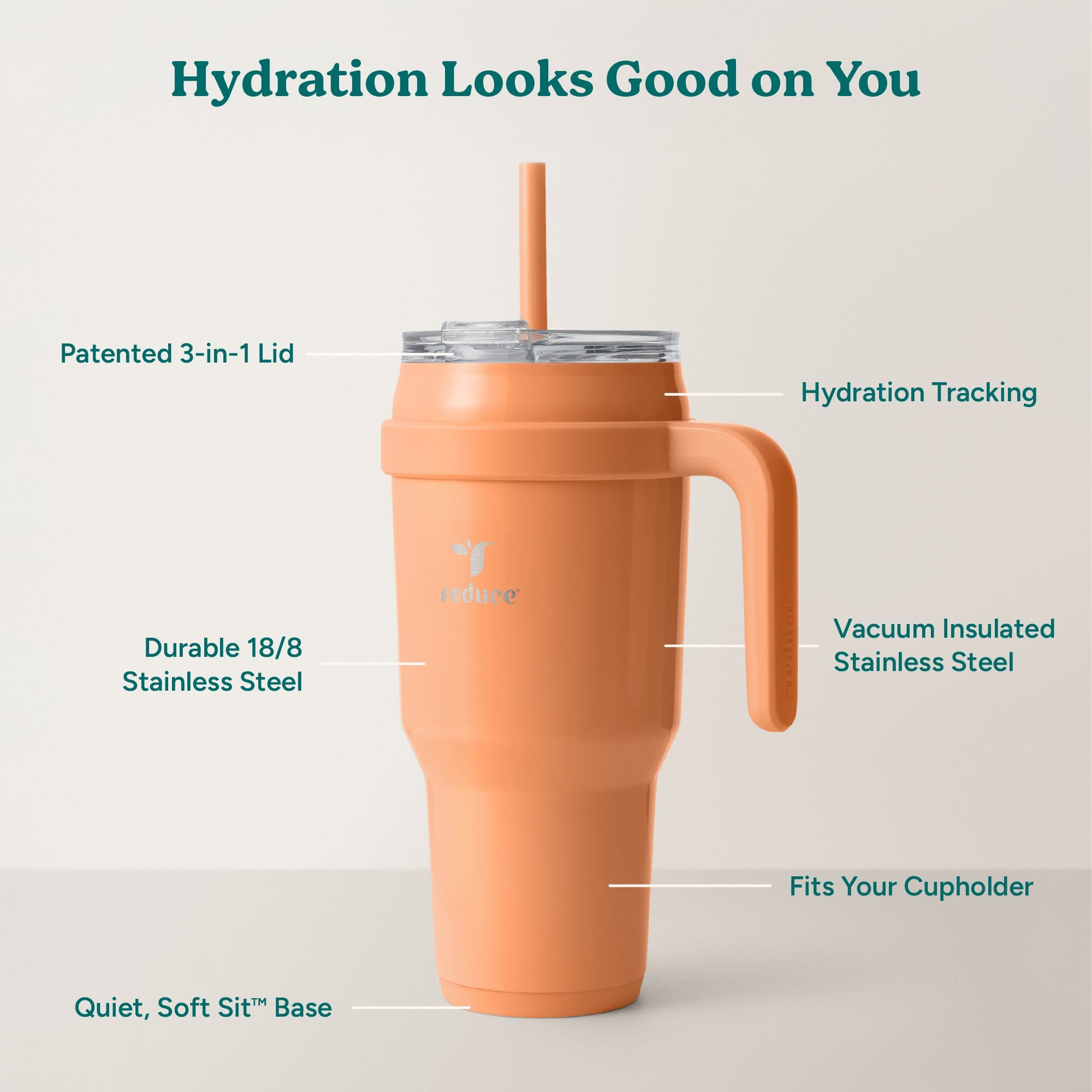cold1-40-oz-r2 Cold1_40oz_Papaya_Infographic_2.jpg