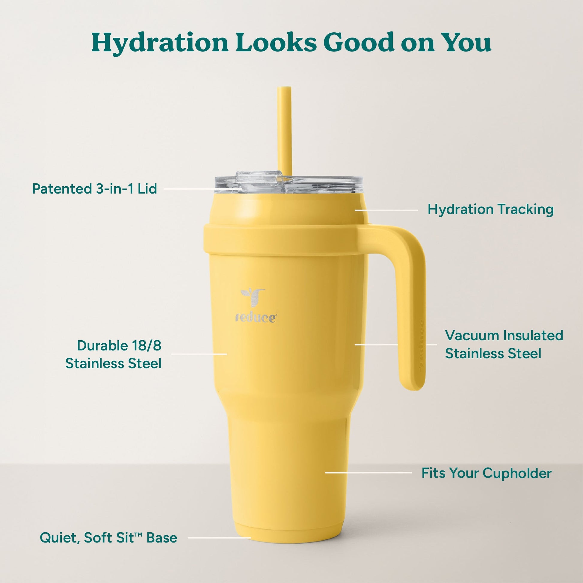 cold1-40-oz-r2 Cold1_40oz_Pineapple_Infographic_2.jpg