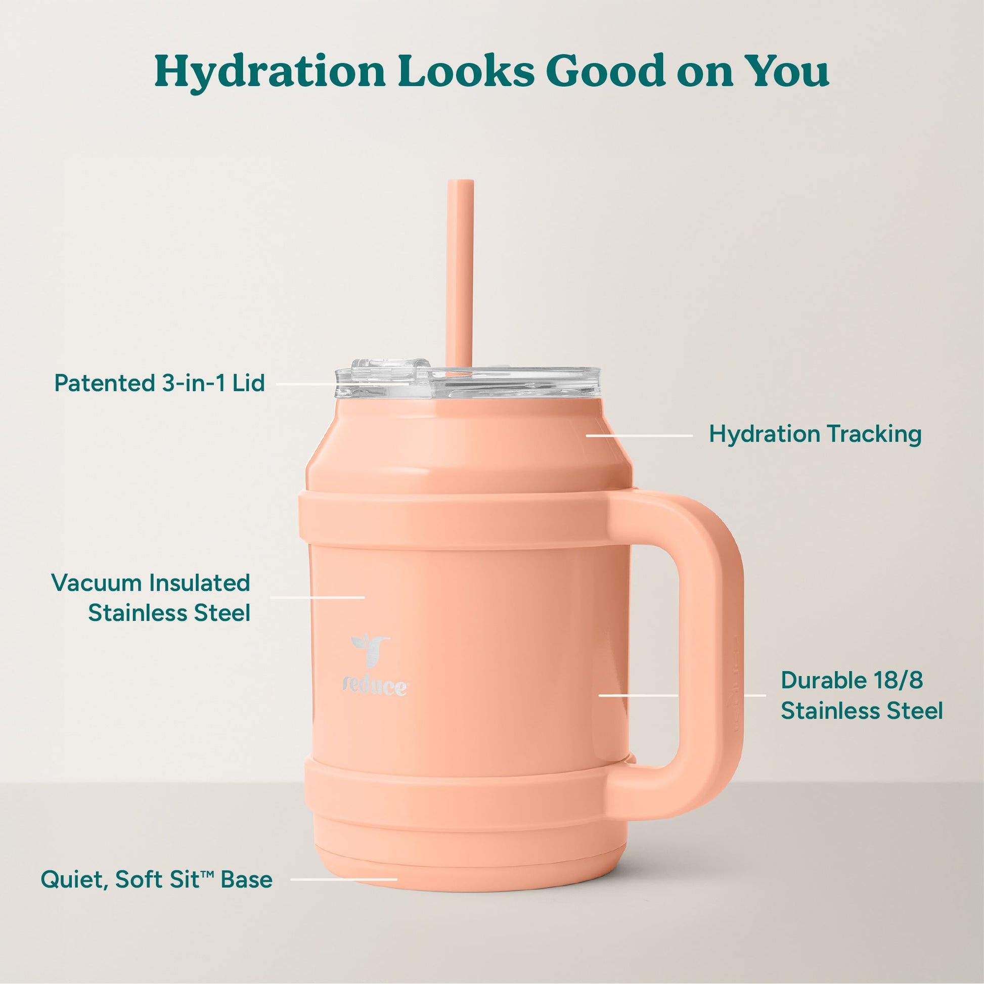 cold1-desktop-50-oz-h7 Cold1_50oz_Desktop_Sedona_Infographic_2.jpg